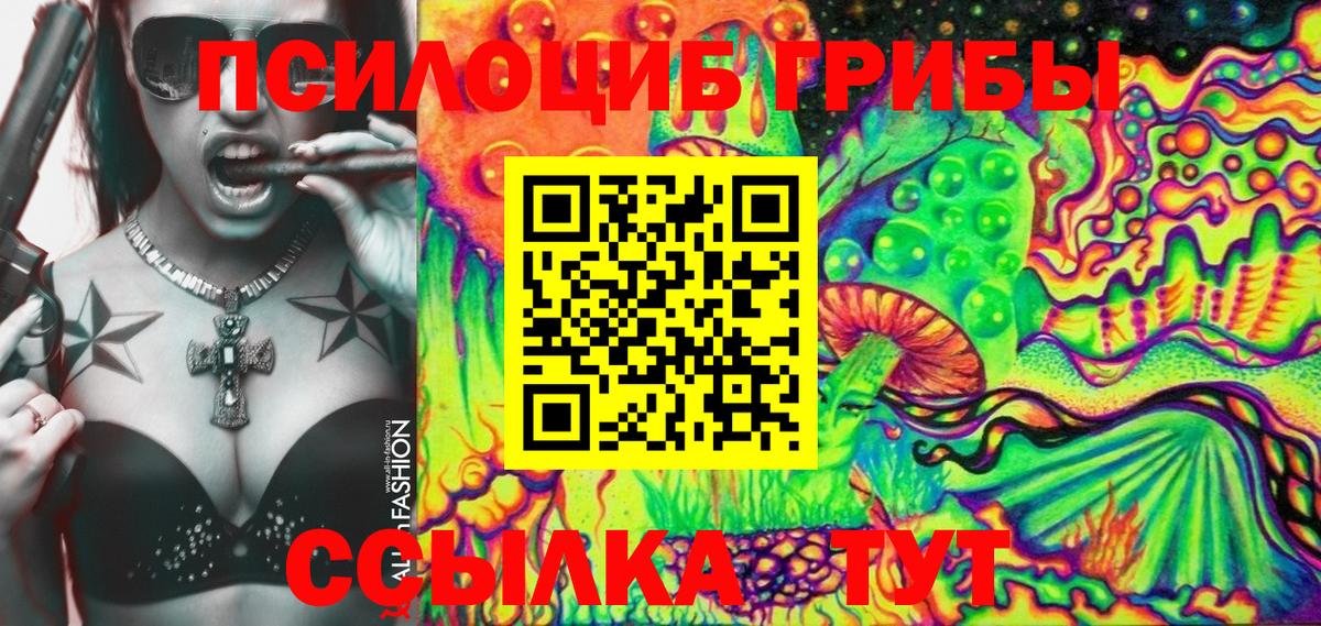 Псилоцибиновые грибы MAGIC MUSHROOMS Боровичи