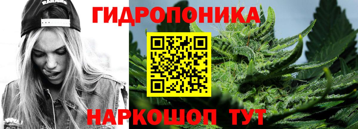 Канабис план Боровичи